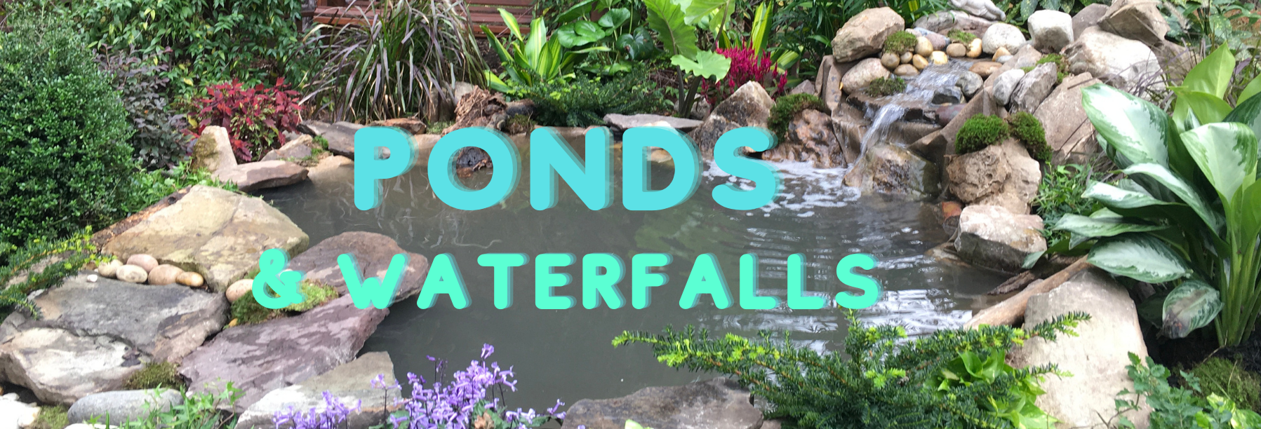 ponds with waterfall banner image